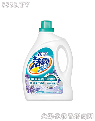 �Ϻ��������޹�˾������˲��o��ϴ��Һ�����ٻ��㣩2kg