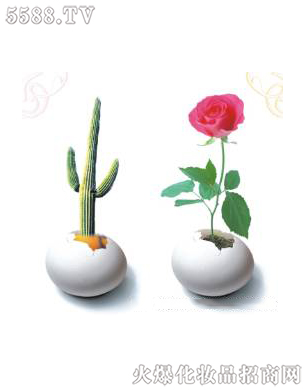 �Ϻ���������Ƽ����޹�˾����ǻ�ޏ�(f��)3��ɆT