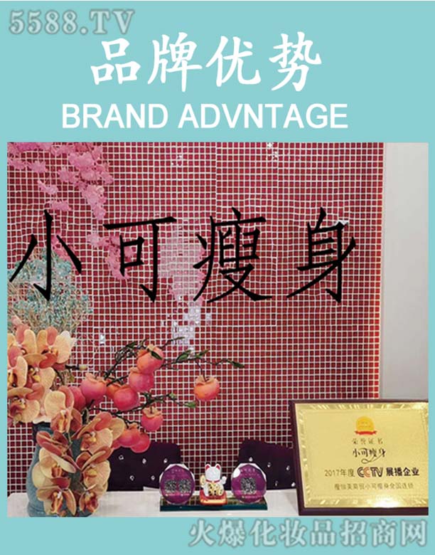 ��(j��)�����������Q(m��o)���޹�˾��С��Ʒ�ƃ�(y��u)��(sh��)