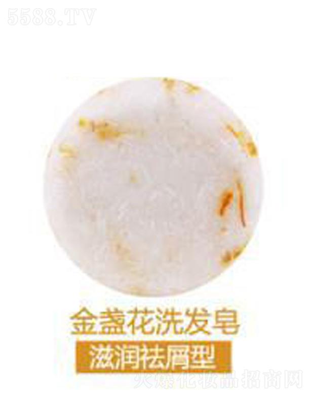 �V���G������Ƽ����޹�˾����ܽ����K��ϴ�l(f��)��-�̝�(r��n)��м��