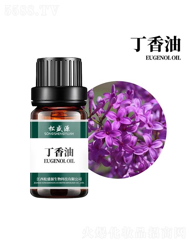 ������ʢԴ����Ƽ����޹�˾����ʢԴ������