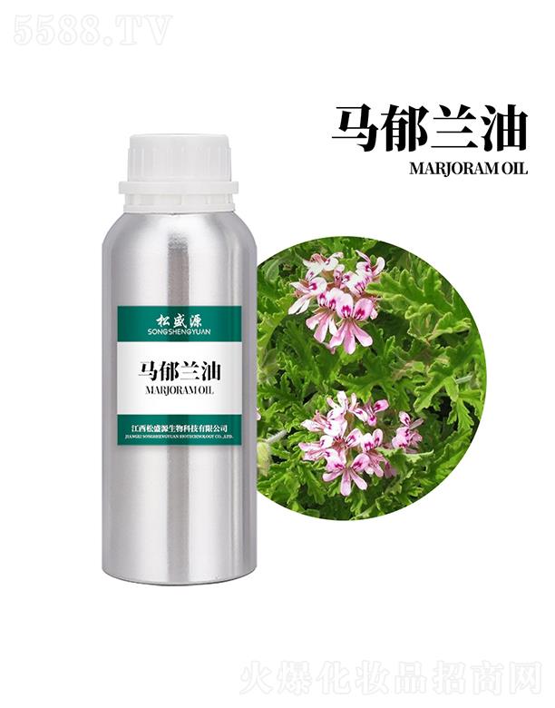 ������ʢԴ����Ƽ����޹�˾����ʢԴ�R���m��