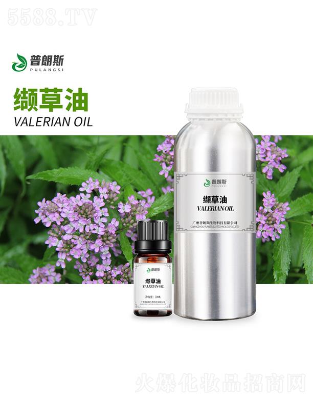 �V������˹����Ƽ����޹�˾������˹�i����