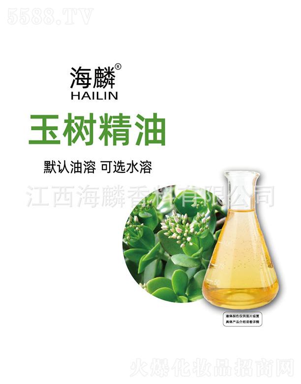 ���������㾫���޹�˾���������(sh��)����