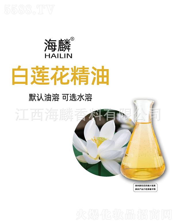 ���������㾫���޹�˾�������ɏ������