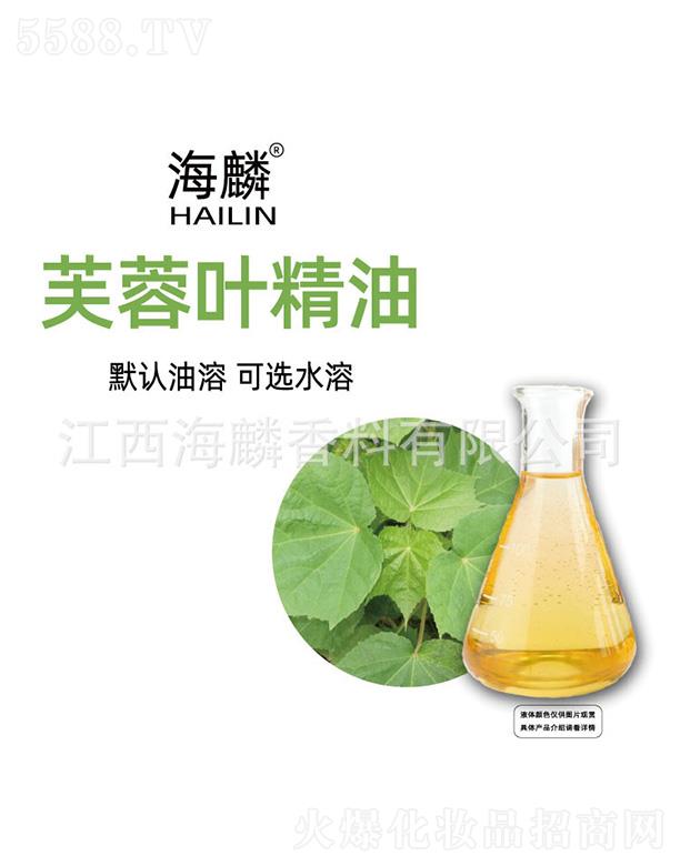 ���������㾫���޹�˾������ܽ���~����