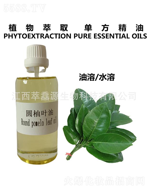 �������QԴ����Ƽ����޹�˾�����QԴ�A���~��