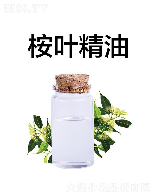 ������������Ƽ����޹�˾���������~����