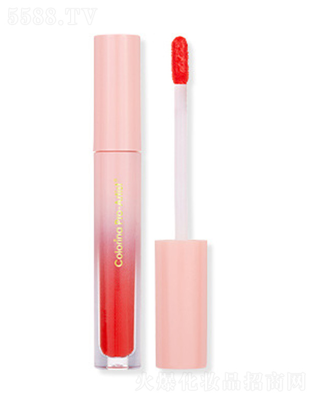 �㽭�����Ƽ����޹�˾��ܽ���{8ɫ����