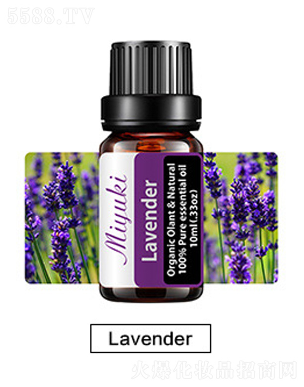 �V���׋I����Ƽ����޹�˾���o(h��)�w��޹��Ħ��-޹�²�