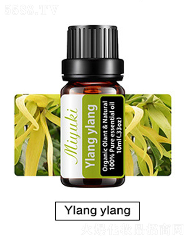 �V���׋I����Ƽ����޹�˾���o(h��)�w��޹��Ħ��-Ylang ylang���m