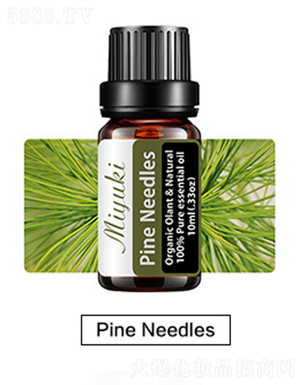 �V���׋I����Ƽ����޹�˾���o(h��)�w��޹��Ħ��-Pine Needles���