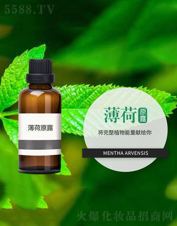 ����ɭ����Ƽ�(���u)���޹�˾������ԭ¶