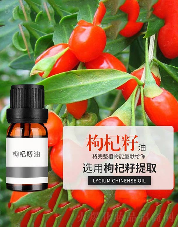 ����ɭ����Ƽ�(���u)���޹�˾���������