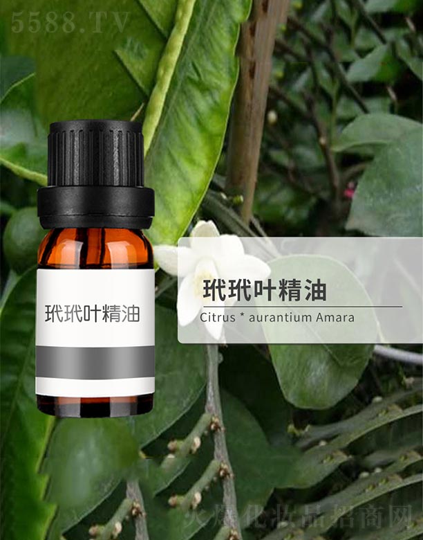 ����ɭ����Ƽ�(���u)���޹�˾�������~����