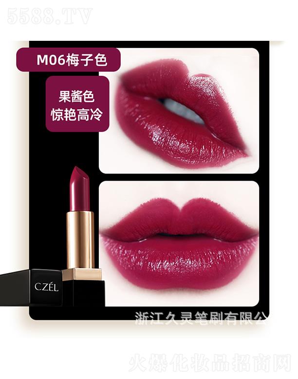 �㽭���`�Pˢ���޹�˾��CZEL����p���F�д���M06÷��ɫ