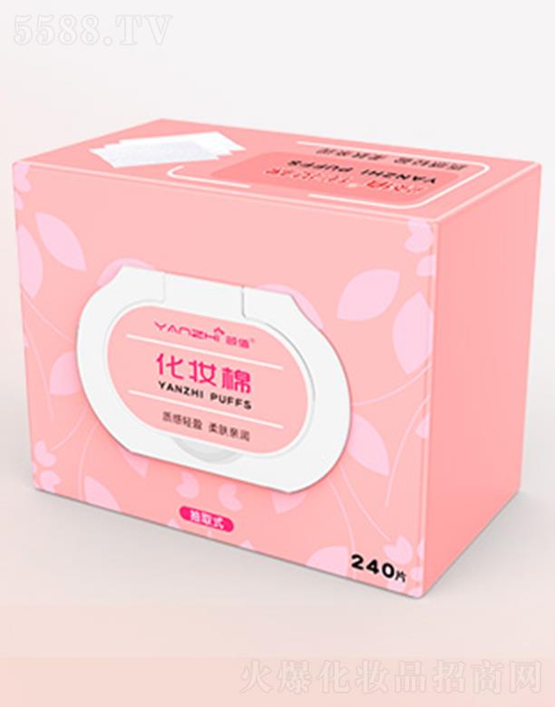 �����ֵ����Ƽ����޹�˾���ֵ���y�� 240Ƭ���w�H��(r��n)��������