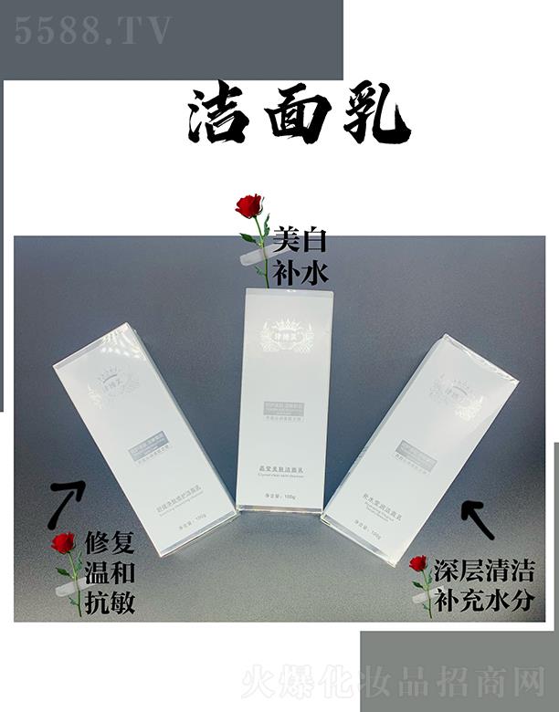 �V���л���ɏ�����������޹�˾���V���л���ɏ ���������� 100g