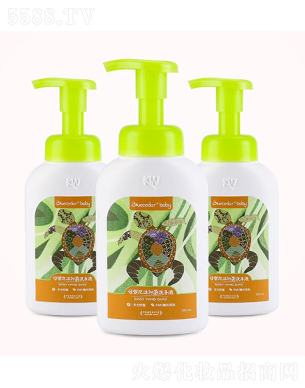 ���Ն�������Ƽ����޹�˾���{ɼĸ����ĭ�־�ϴ��Һ 300mL