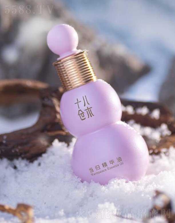 ���ڿ�ʥԪ�����t(y��)ˎ�Ƽ����޹�˾��ʮ�˂}(c��ng)ľ��(d��ng)�w���A��