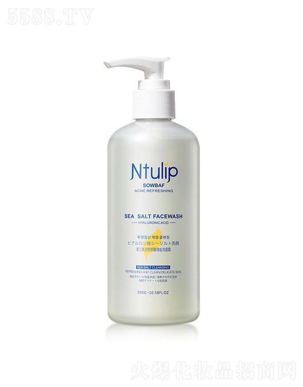 ���h�������yƷ���޹�˾���Z͡��������͸���|(zh��)�ả�}ϴ����  300g