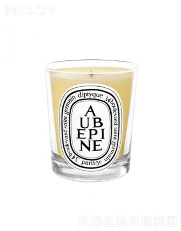 ���֣��Ϻ����Q(m��o)�����޹�˾��diptyque���Ϟ�T-ɽ�