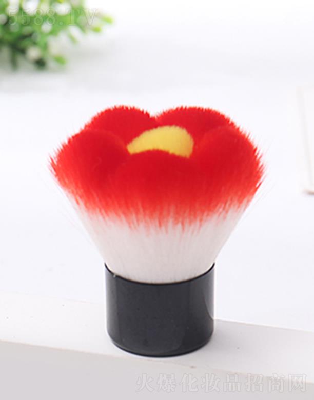 �����ЅR���_(d��)���yˢ���޹�˾���R���_(d��)���ε������yˢ