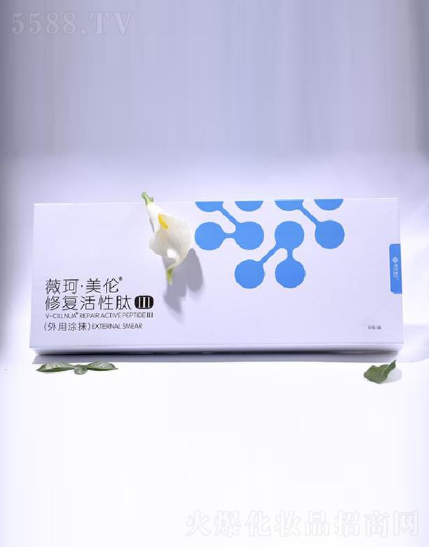 ����ʡ���A����Ƽ����޹�˾��ޱ�������ޏ�(f��)������III