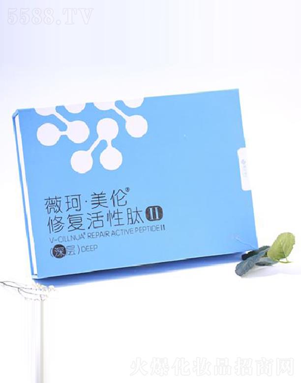 ����ʡ���A����Ƽ����޹�˾��ޱ�������ޏ�(f��)������II