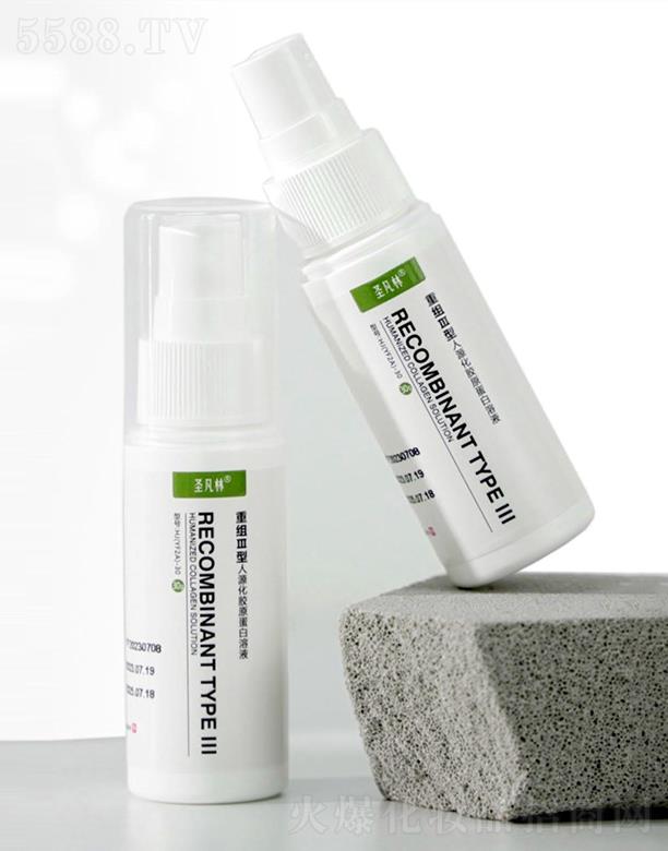 �ɶ�ʥ�������ݿƼ����޹�˾��ʥ����III���zԭ���ׇ��F