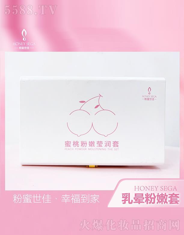 �B�T���Ѡ�����Ƽ����޹�˾�������������ҷ��۬����� ���Č����镞���ی���