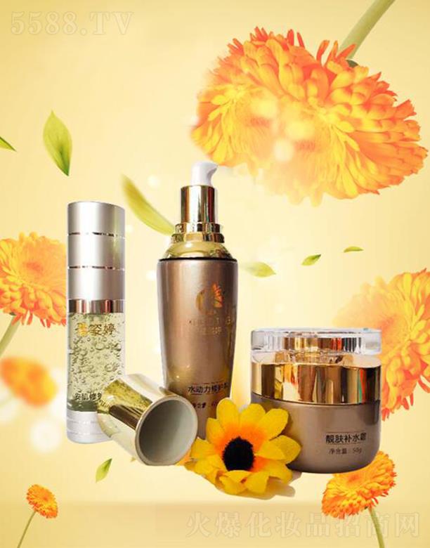 �V����ѩ��������Ƽ����޹�˾��ѩ�������o(h��)����