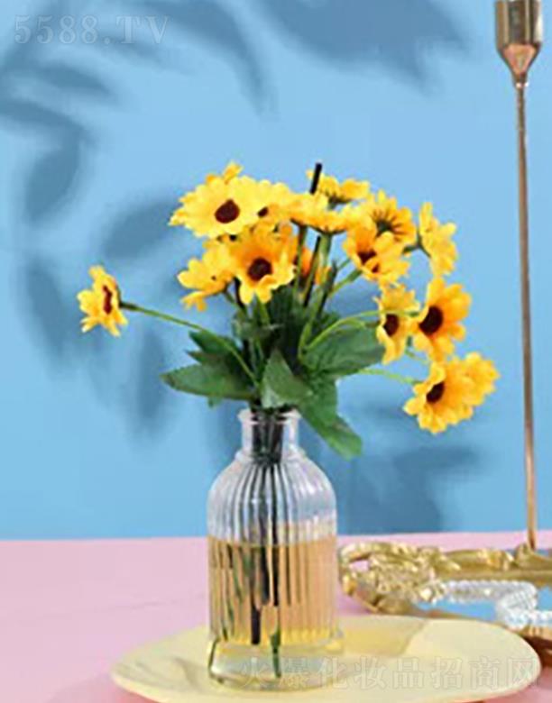 �~¶ɯ������������Ƽ����޹�˾���~¶ɯ�̲��yѩ��