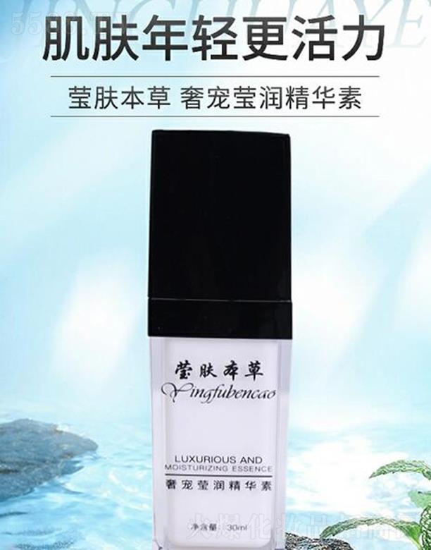 �����|�����ſƼ����޹�˾�����w�����݌��������A��