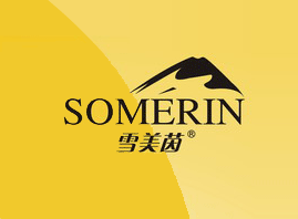 �V�݌�������Ƽ����޹�˾