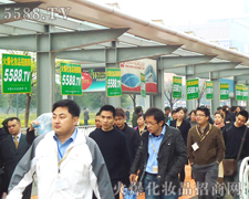 ���I(y��)���[��(hu��)ȺӢ�C������푻𱬼��Y(ji��)̖(h��o)