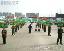 ټ��ďV����ֻ�л𱬻��yƷ���̾W(w��ng)�������(du��)��