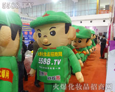 ��ݰ���Ě�ģ������