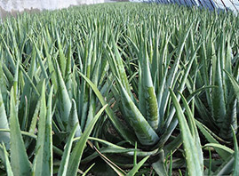 �����|֮�C��(sh��)�I(y��)���޹�˾