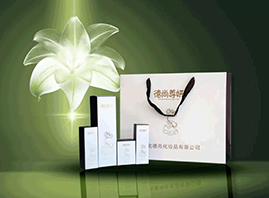 �ӱ���������Ƽ����޹�˾