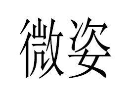 �V��΢������Ƽ����޹�˾