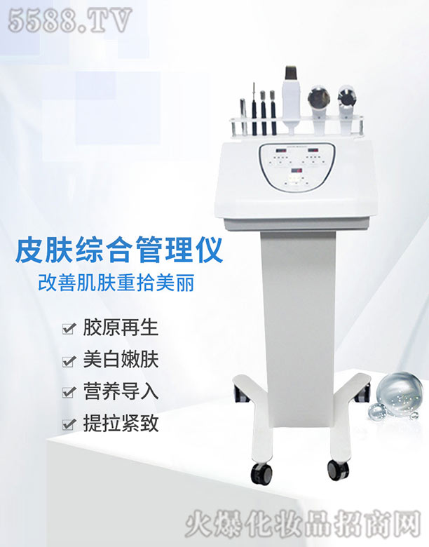 Ƥ�w�C�Ϲ���x