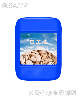 ������ƾ���