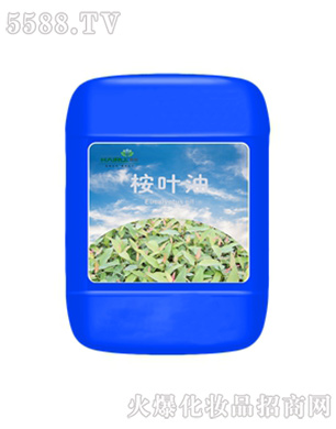 �������~�ؾ���