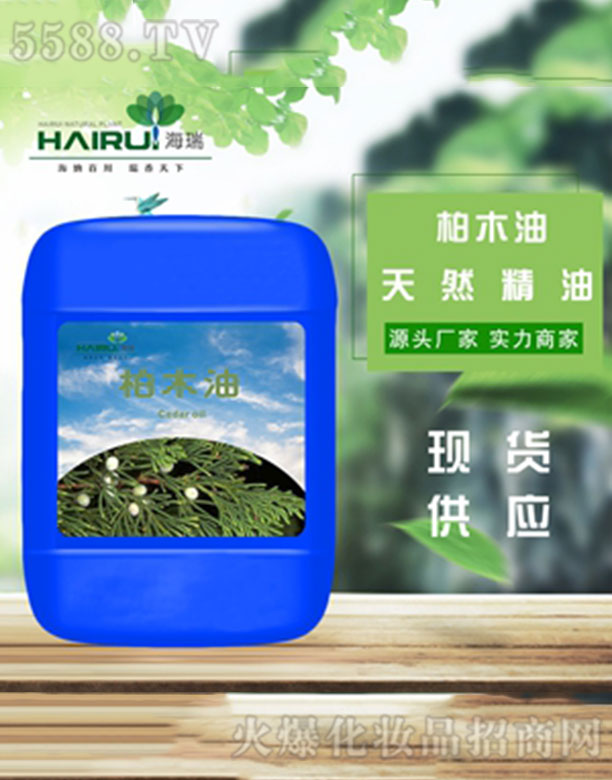 �����ľ��