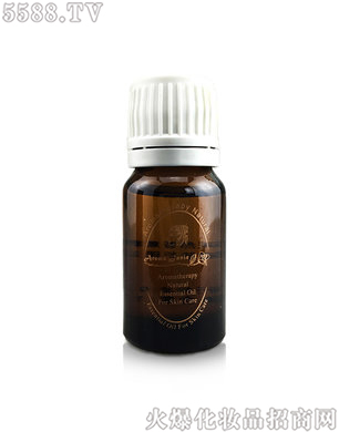 ���Z���ݙ��ʾ���