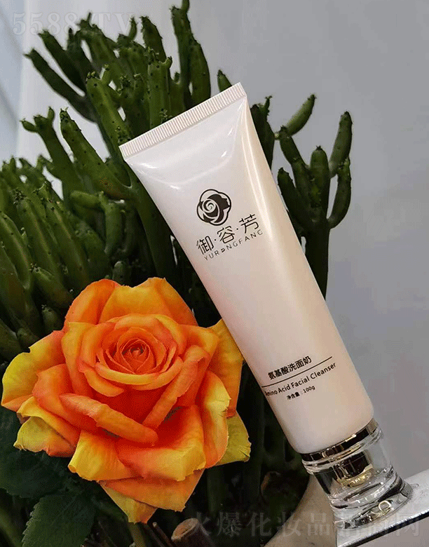 ���ݷ�������ϴ����100g