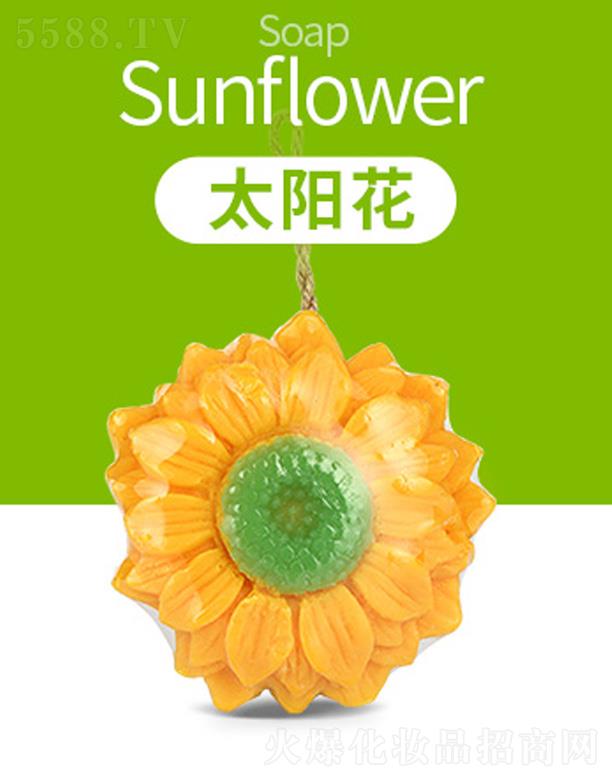 ��ܽ��̩��(gu��)3D̫�(y��ng)��������