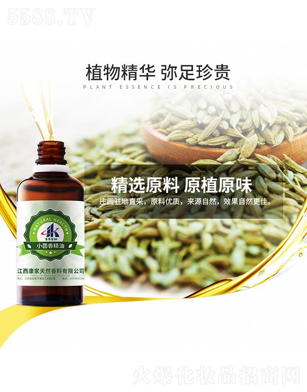 ���ұ���С���㾫��