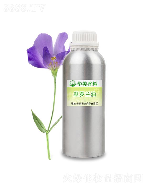 �A�����_�m��